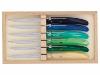 CLAUDE DOZORME - COFFRET 6 COUTEAUX DE TABLE/STEAK - 22CM - COULEURS FROIDES